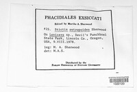 Image Associated With the Occurence